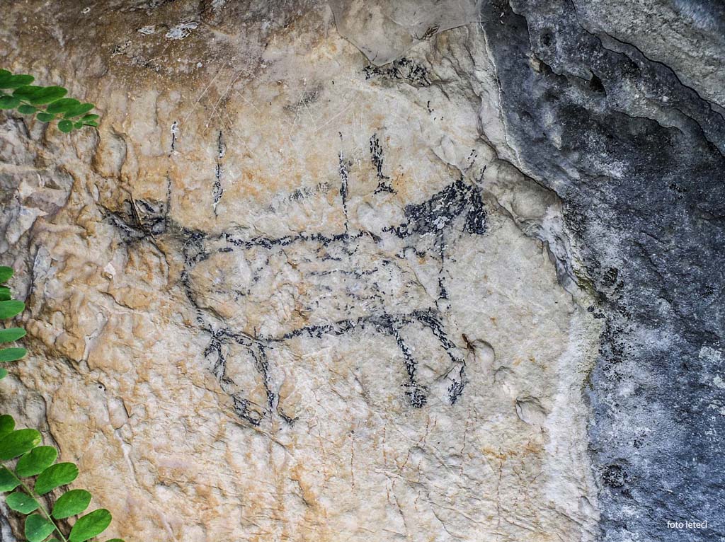 Pećinski crtež, atar sela Gabrovnica